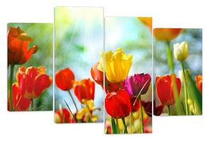 Модульна картина на полотні із чотирьох частин KIL Art Квіти Цвітіння тюльпанів 129x90 см (M4_L_375)