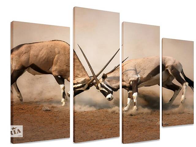 Модульная картина на холсте из четырех частей KIL Art Африка Борьба за выживание 129x90 см (M4_L_385)