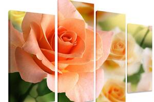 Модульная картина на холсте из четырех частей KIL Art Цветок Чайная роза 129x90 см (M4_L_397)