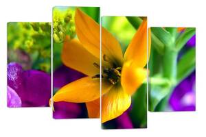 Модульная картина на холсте из четырех частей KIL Art Цветы Красочная лилия 129x90 см (M4_L_398)