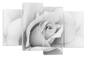 Модульна картина на полотні із чотирьох частин KIL Art Троянда Холодна королева квітів 129x90 см (M4_L_399)