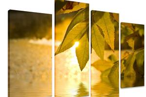 Модульна картина на полотні з чотирьох частин KIL Art Сонце Сонячне листя 129x90 см (M4_L_442)