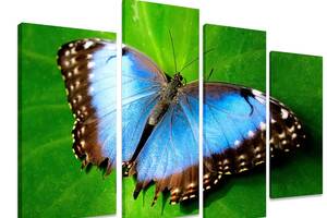 Модульная картина на холсте из четырех частей KIL Art Животные Прекрасная бабочка 129x90 см (M4_L_503)