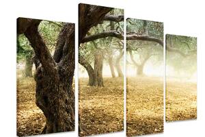Модульная картина на холсте из четырех частей KIL Art Природа Оливковые деревья 129x90 см (M4_L_504)