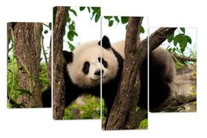 Модульна картина на полотні із чотирьох частин KIL Art Тварини Смішна панда 129x90 см (M4_L_553)