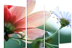 Модульна картина на полотні із чотирьох частин KIL Art Квіти Квіткова ніжність 89x56 см (M4_M_314)