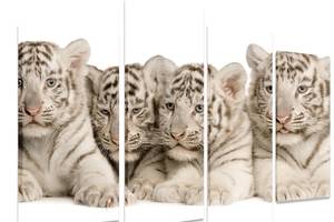 Модульная картина на холсте из четырех частей KIL Art Животные Тигрята 89x56 см (M4_M_327)