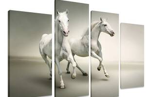 Модульная картина на холсте из четырех частей KIL Art Лошади Белоснежные скакуны 89x56 см (M4_M_343)