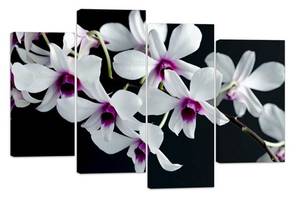 Модульна картина на полотні із чотирьох частин KIL Art Орхідеї Чарівні квіти 89x56 см (M4_M_351)