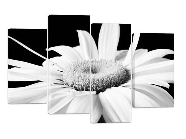 Модульная картина на холсте из четырех частей KIL Art Гербера Белый цветок 89x56 см (M4_M_359)