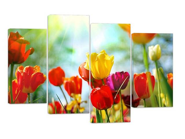 Модульная картина на холсте из четырех частей KIL Art Цветы Цветение тюльпанов 89x56 см (M4_M_375)