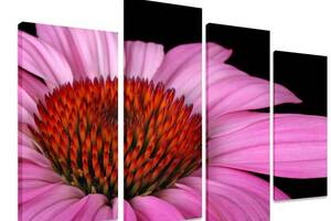 Модульна картина на полотні із чотирьох частин KIL Art Гербера Ніжність квітки 89x56 см (M4_M_378)