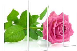 Модульна картина на полотні із чотирьох частин KIL Art Квіти Рожева троянда 89x56 см (M4_M_394)