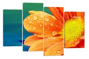 Модульная картина на холсте из четырех частей KIL Art Цветок Роса на лепестках 89x56 см (M4_M_395)
