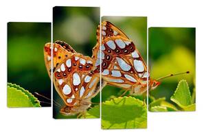 Модульна картина на полотні із чотирьох частин KIL Art Тварини Пара метеликів 89x56 см (M4_M_403)