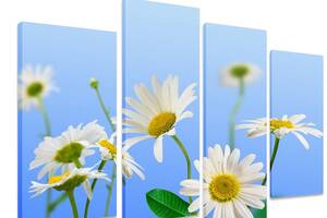 Модульна картина на полотні із чотирьох частин KIL Art Квіти Ромашки 89x56 см (M4_M_420)