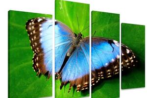 Модульна картина на полотні з чотирьох частин KIL Art Тварини Прекрасний метелик 89x56 см (M4_M_503)