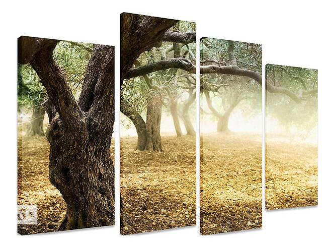 Модульная картина на холсте из четырех частей KIL Art Природа Оливковые деревья 89x56 см (M4_M_504)