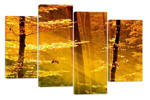 Модульна картина на полотні із чотирьох частин KIL Art Сонце Промені в лісі 89x56 см (M4_M_505)