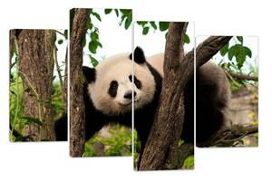 Модульная картина на холсте из четырех частей KIL Art Животные Забавная панда 89x56 см (M4_M_553)