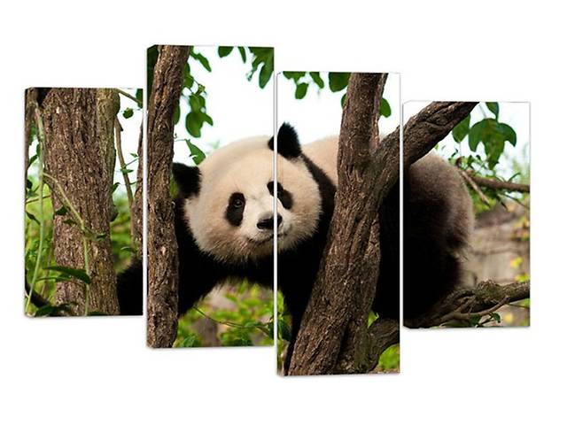 Модульная картина на холсте из четырех частей KIL Art Животные Забавная панда 89x56 см (M4_M_553)
