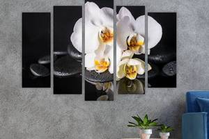 Модульная картина на холсте из пяти частей KIL Art Белоснежная орхидея и камни 112x68 см (M5_M_476)