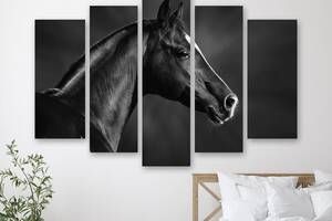 Модульная картина на холсте из пяти частей KIL Art Чёрная лошадь 112x68 см (M5_M_66)