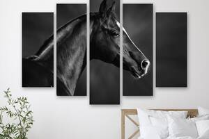 Модульная картина на холсте из пяти частей KIL Art Чёрная лошадь 137x85 см (M51_L_66)
