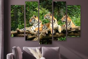 Модульная картина на холсте из пяти частей KIL Art Три тигра 112x68 см (M5_M_75)