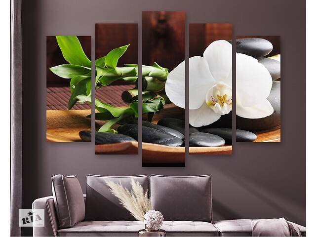Модульная картина на холсте из пяти частей KIL Art Цветок белой орхидеи 112x68 см (M5_M_450)
