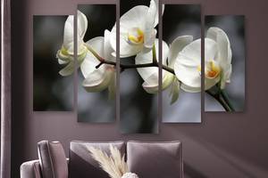 Модульная картина на холсте из пяти частей KIL Art Ветка белоснежной орхидеи 112x68 см (M5_M_397)