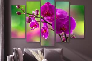 Модульная картина на холсте из пяти частей KIL Art Ветка лиловой орхидеи 187x119 см (M51_XL_485)