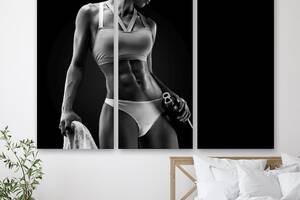 Модульная картина на холсте из трех частей Девушка с спортивным телом 78x48 см (M3_M_211)
