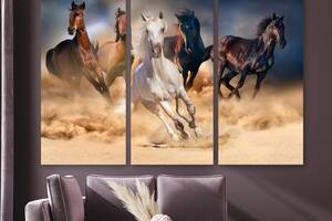 Модульная картина на холсте из трех частей KIL Art Дикий табун лошадей 78x48 см (M3_M_247)