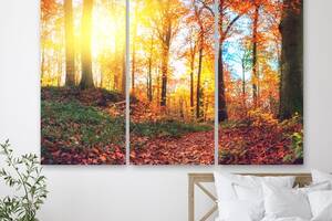 Модульная картина на холсте из трех частей KIL Art Осень в лесу 78x48 см (M3_M_569)