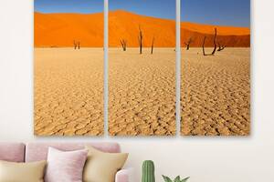 Модульна картина на полотні із трьох частин KIL Art Пустеля Наміб 78x48 см (M3_M_635)