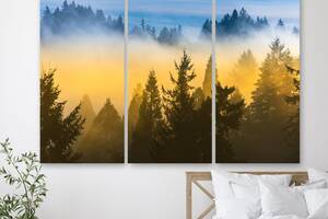 Модульная картина на холсте из трех частей KIL Art Утренний туман в лесу 128x81 см (M3_L_581)