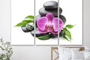 Модульна картина на полотні з трьох частин Квітка орхідеї та каміння 128x81 см (M3_L_664)