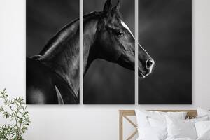 Модульная картина на холсте из трех частей Верная лошадь 78x48 см (M3_M_228)