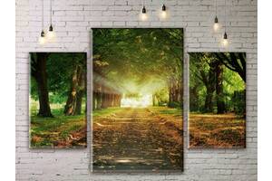 Модульная картина Рассвет в лесу ADNA0034 размер 70 х 105 см