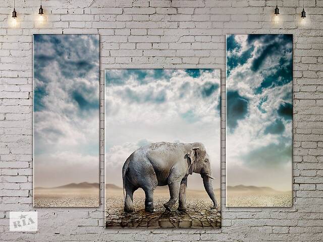Модульная картина Слон ADJ0152 размер 95 х 120 см