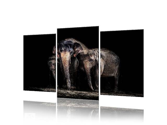 Модульная картина Слоны ADJ0017 размер 70 х 105 см