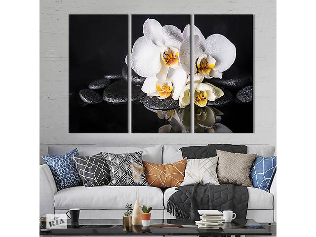 Модульная картина триптих на холсте KIL Art Белые орхидеи на чёрных камнях 156x100 см (68-31)