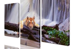 Модульная картина Тигр ADJ0126 размер 150 х 180 см