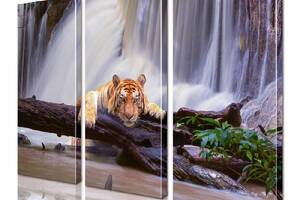 Модульная картина Тигр ADJ0129 размер 150 х 180 см