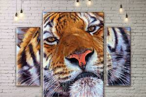Модульная картина Тигр ADJ0164 размер 150 х 180 см
