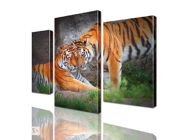 Модульная картина Тигры ADJ0006 размер 70 х 105 см