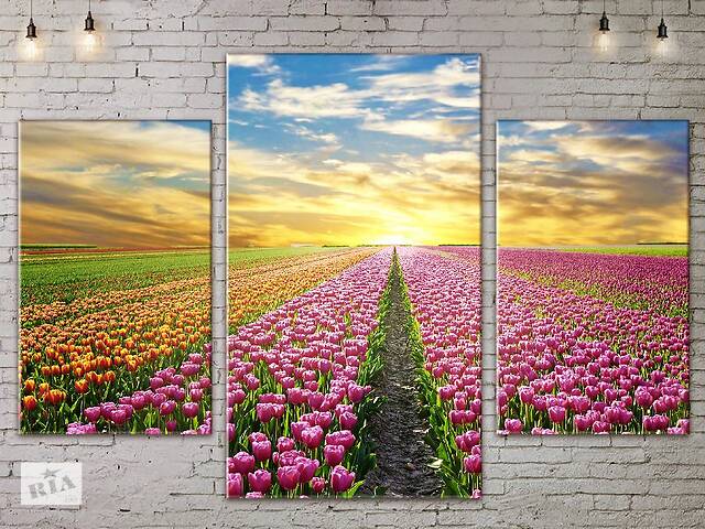 Модульная картина Тюльпаны ADNA0112 размер 120 х 180 см