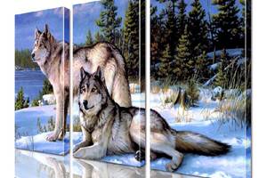 Модульная картина Волки ADJ0135 размер 55 х 70 см