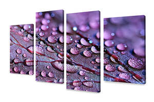 Модульная картина из 4 частей для интерьера KIL Art Капли на фиолетовом литске 149x106 см (M4_XL_568)